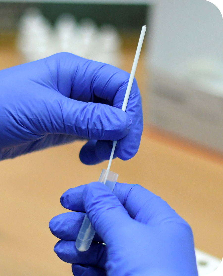 Nasal-Testkit
